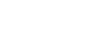 logo_v.png